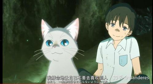 想哭的我戴上了猫的面具,揭秘想哭的我