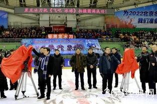 飞吧冰球,激情碰撞的冰上传奇