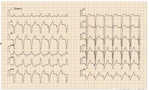十二个心房,探寻人体生命奥秘的旅程