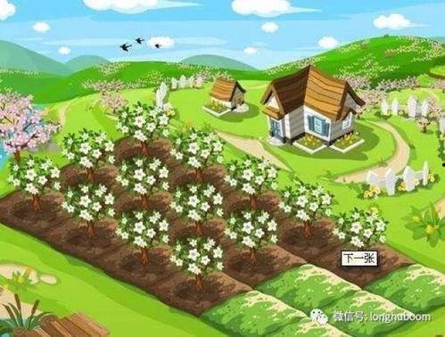 六零下乡我有随身开心农场,打造随身开心农场，体验田园生活新风尚